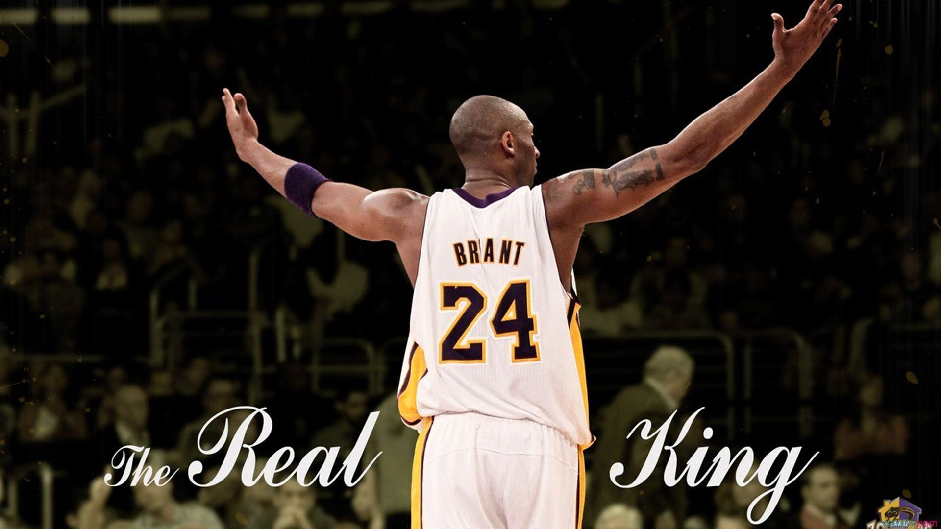 开云体育登录网站入口-伤病频发！联盟如何应对核心球员缺阵