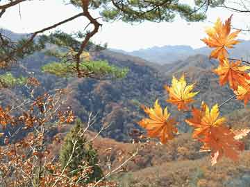 马赛憾负对手，遭遇三连败局面不妙，马赛对标